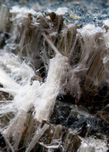 Asbestos Analysis – Vermiculite