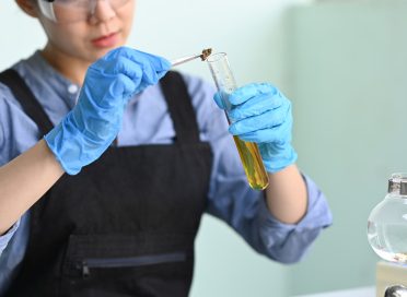 Scientist putting dry sample of cannabis into test tube. Herbal alternative medicine, cbd oil.