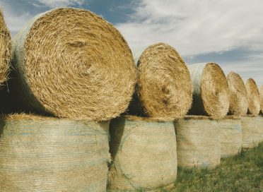 Wrapped round stacked hay bales on the prairie at harvest time in Montana.